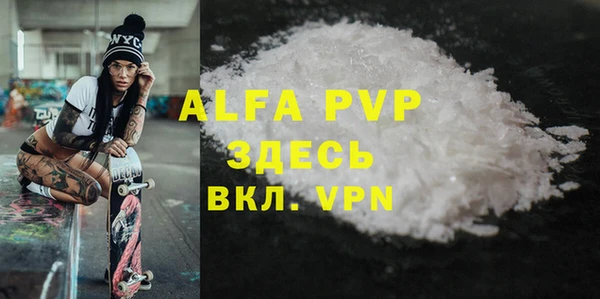 индика Волосово