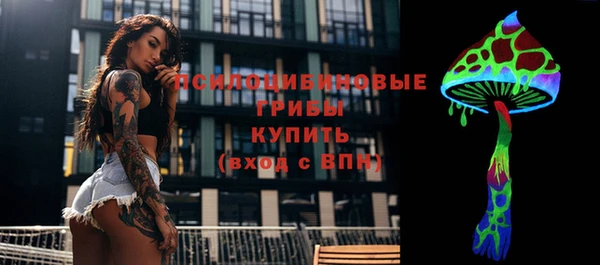 PSILOCYBIN Бугульма