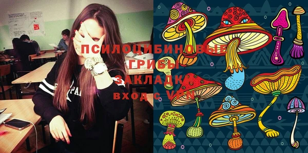 сатива Бронницы