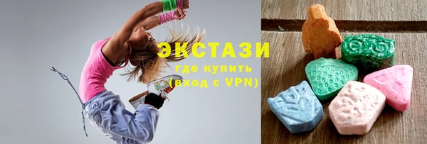 ECSTASY Бородино