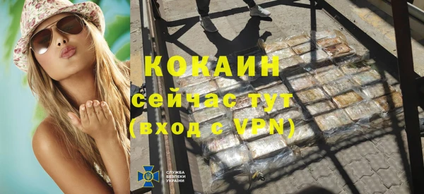 индика Волосово