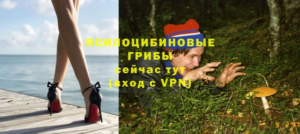 сатива Бронницы