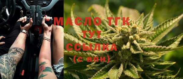 ECSTASY Бородино