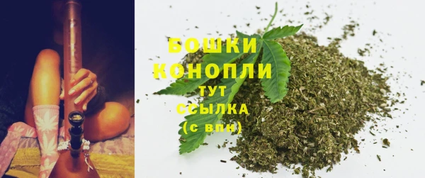 PSILOCYBIN Бугульма